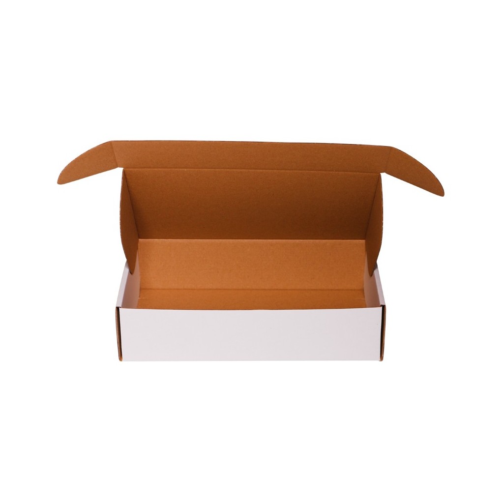 Boîte postale blanche D15 250x160x60