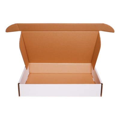 Balta pasta kaste D55 350x250x140