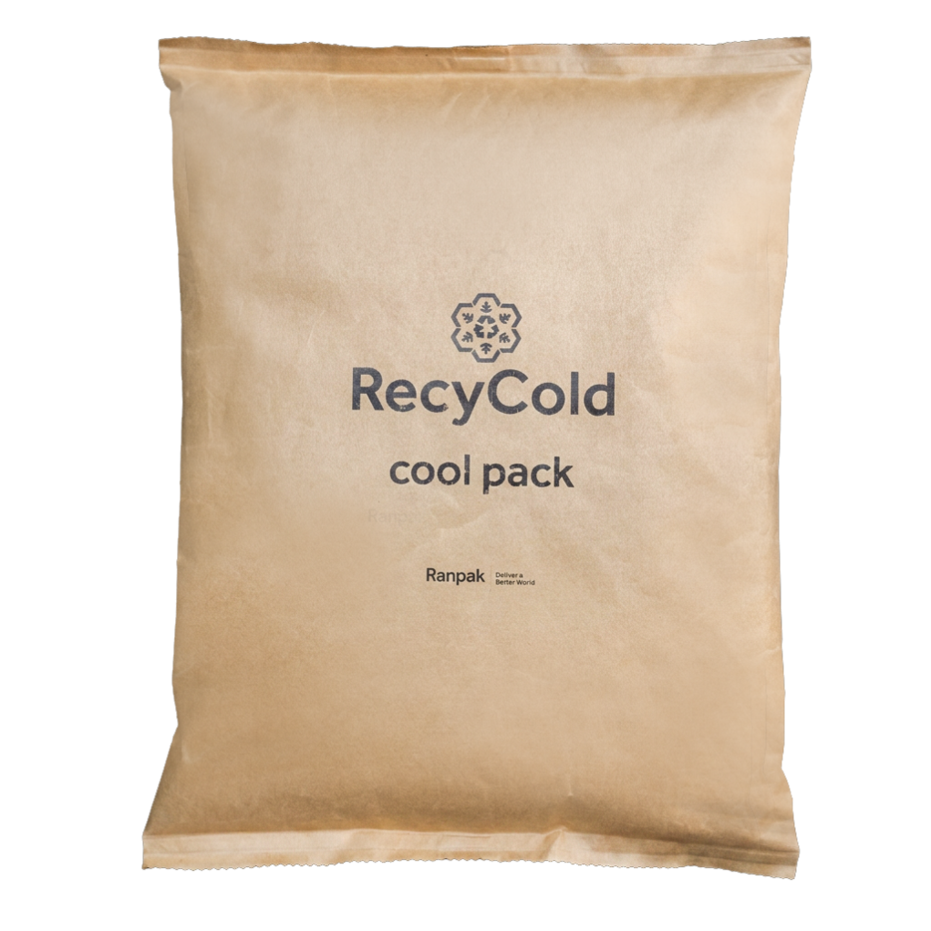 Hladilni vložek RecyCold 300g