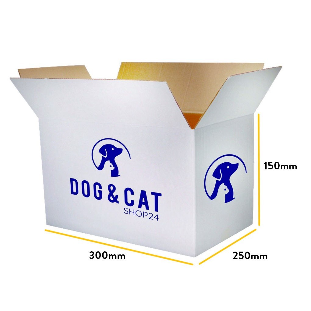 Bijela kartonska kutija s tiskom 300x250x150