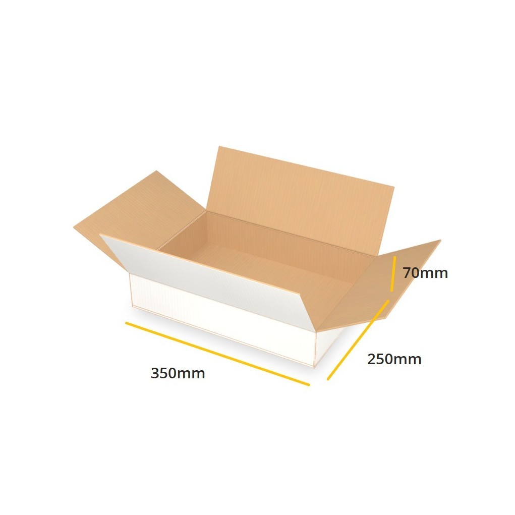 Biały karton klapowy K081 B 350x250x70