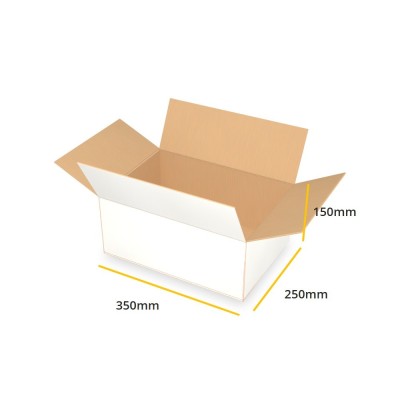 Biały karton klapowy K097 B 350x250x150