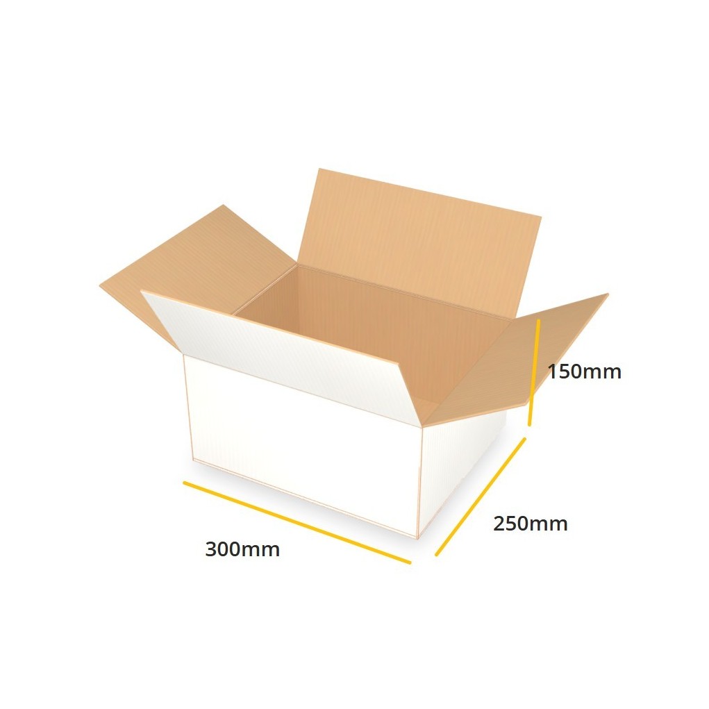 Biały karton klapowy K098 B 300x250x150