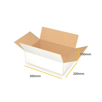 Biały karton klapowy K101 B 300x200x100