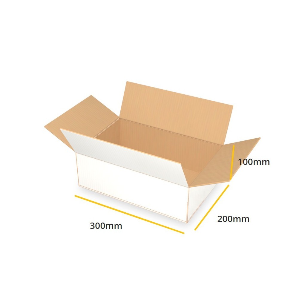 Biały karton klapowy K101 B 300x200x100