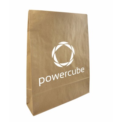 250x350x50 Paper shipping bag Papieropak e-Green with one-sided print 250x350x50 Paper shipping bag Papieropak e-Green with one-sided print