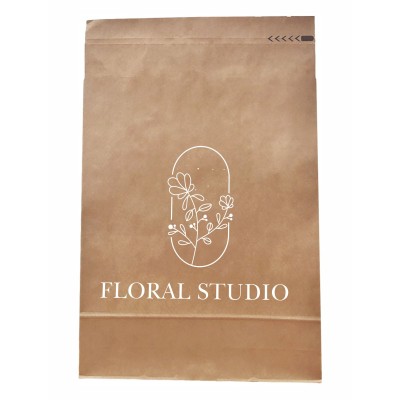250x350x50 Paper shipping bag Papieropak e-Green with one-sided print 250x350x50 Paper shipping bag Papieropak e-Green with one-sided print