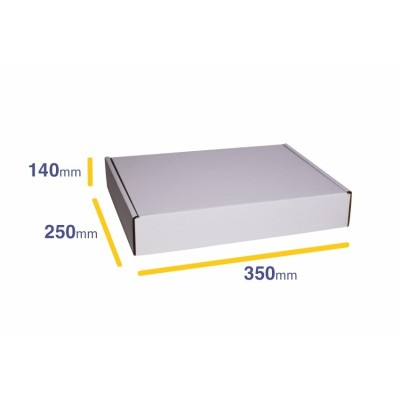 Balta pasta kaste D55 350x250x140