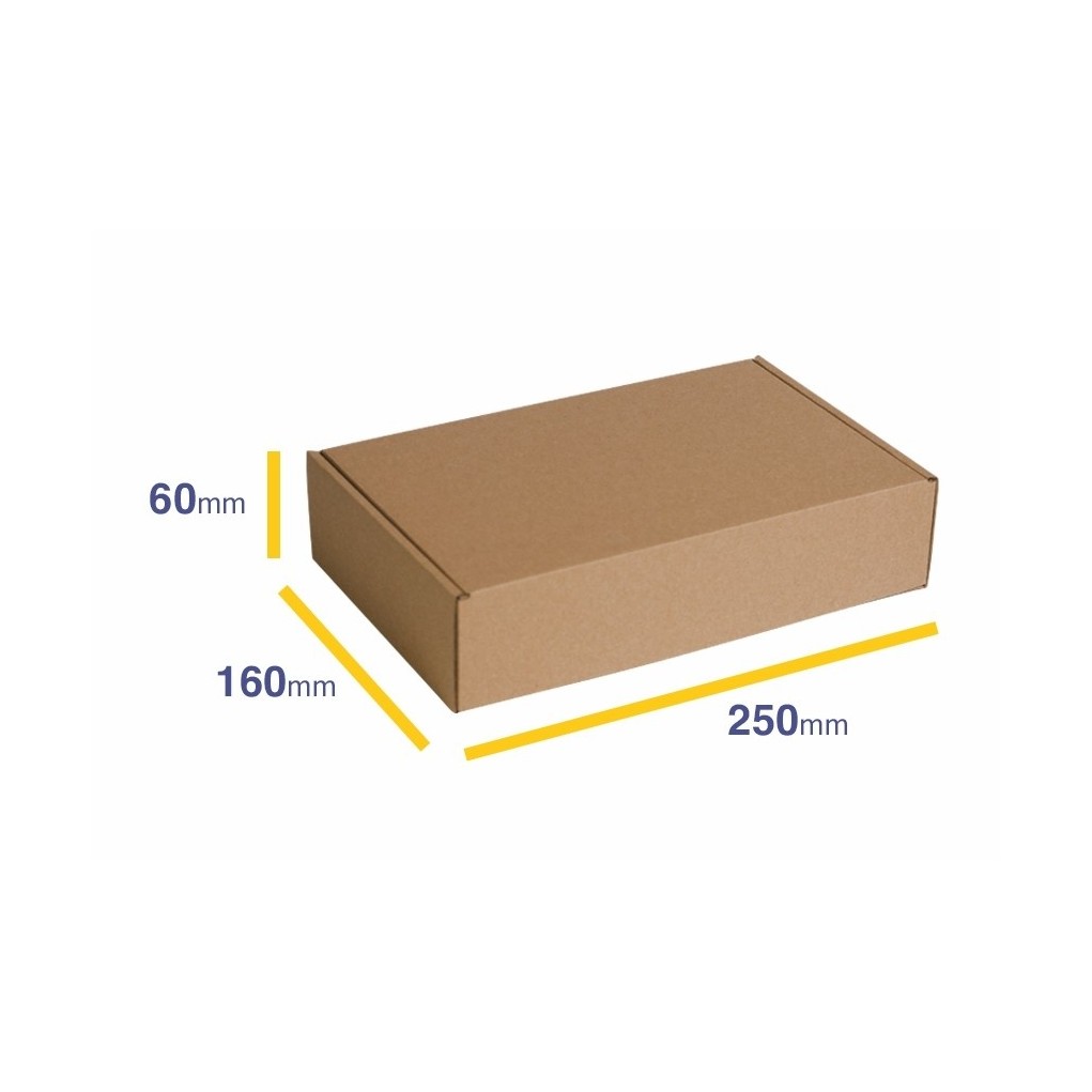 Faltschachtel D10 250x160x60