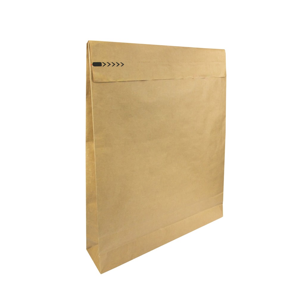 450x570x100 Sac de hârtie pentru expediere Papieropak e-Green cu fund plat