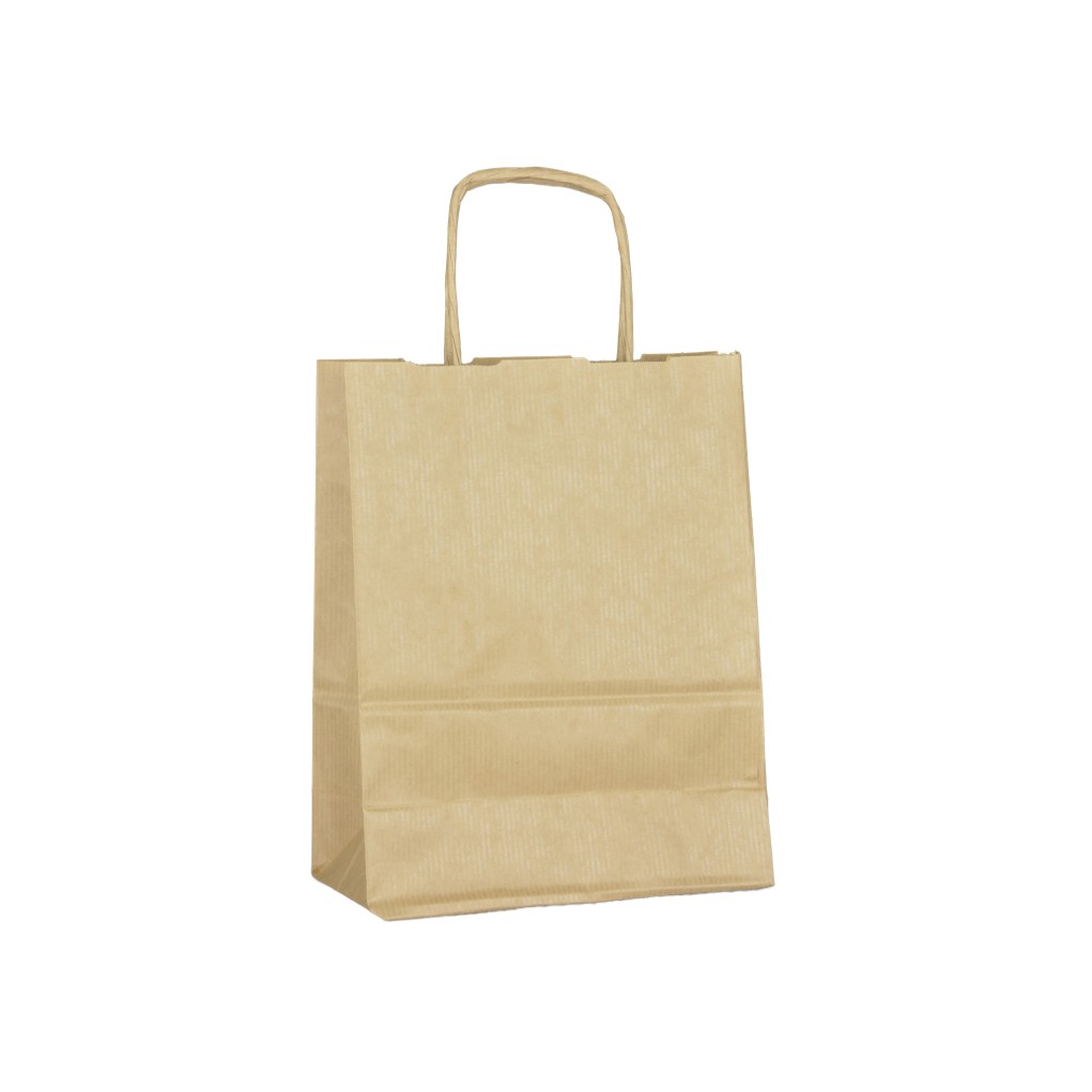 Paper bag C3 250x110x320