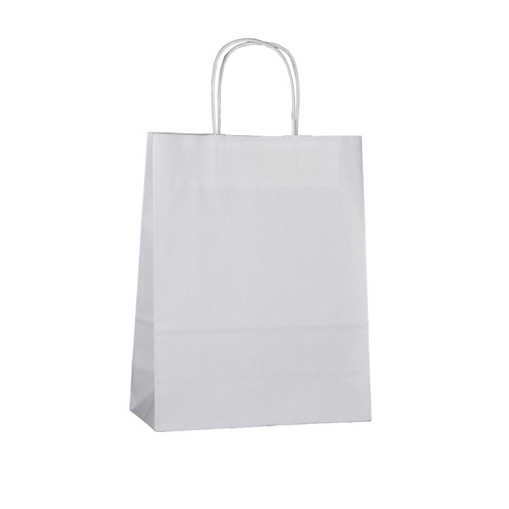 Bolsa de papel D3 250x110x320