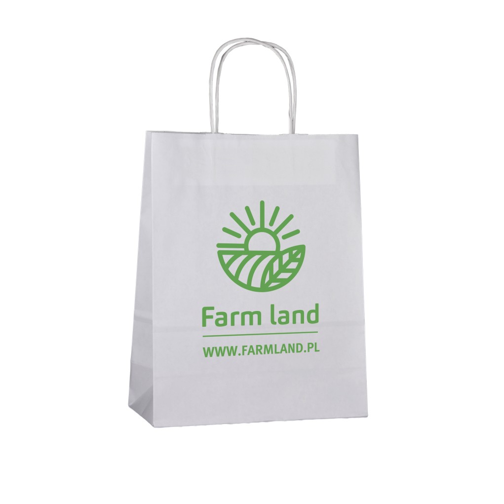 Paper bag with single-sided D3 print 250x110x320