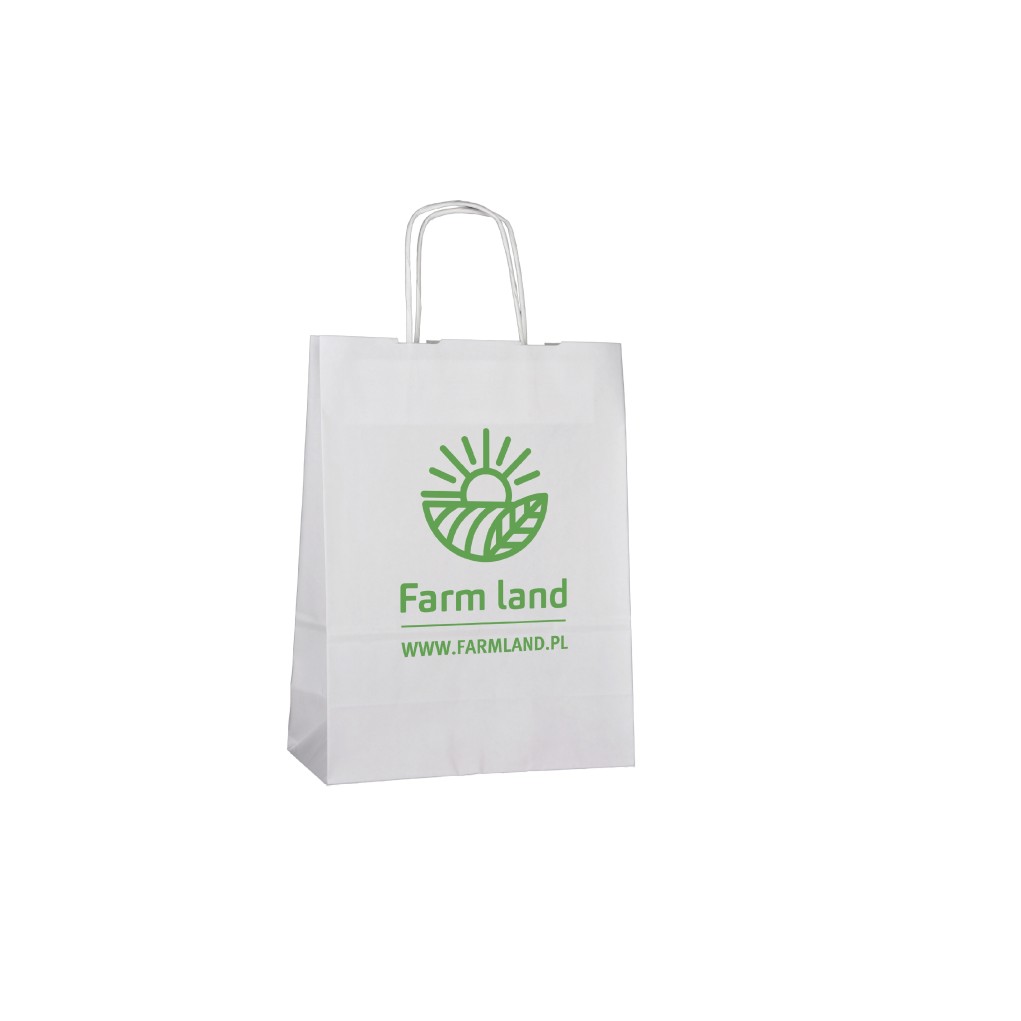 Paper bag with one-sided print D1 180x80x210