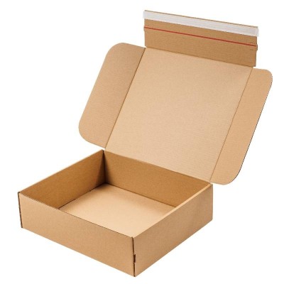 Boxes with adhesive strip and tear-off tab