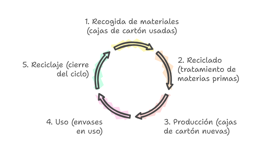 Figura. Esquema que muestra el ciclo cerrado de producción de embalajes con solapas