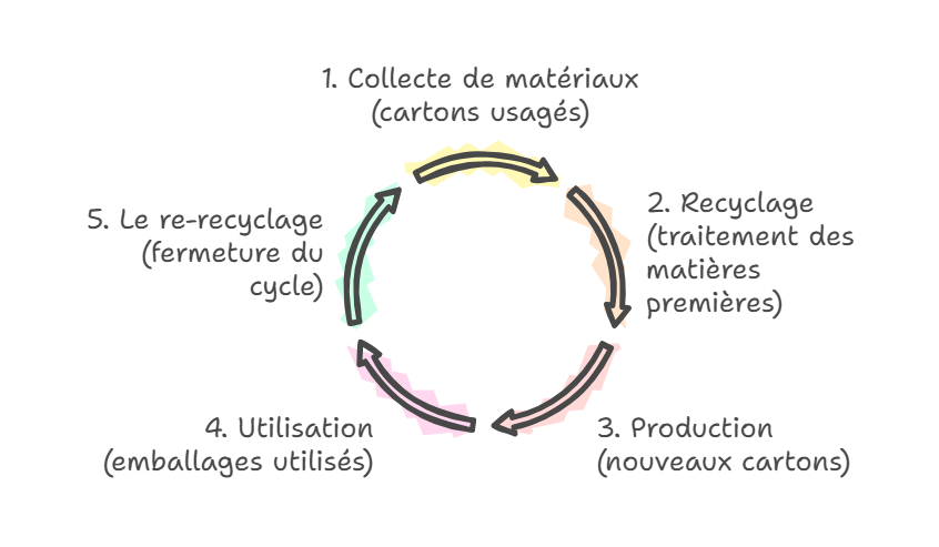 Fig. Schéma illustrant le cycle fermé de production des cartons à rabats