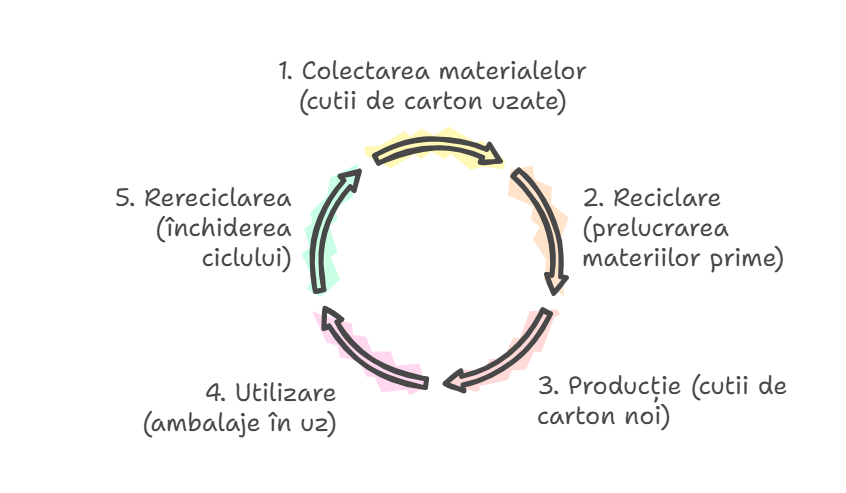 Imagine. Schema ciclului închis de producție a ambalajelor cu clapetă